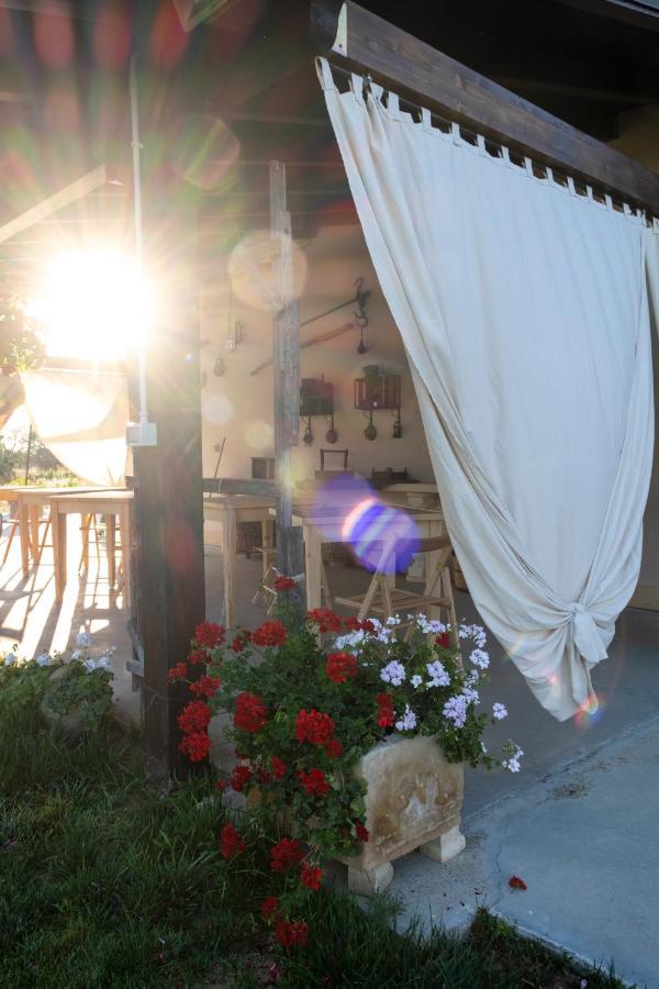 A Lu Fanizza Bed & Breakfast Кутрофиано Екстериор снимка