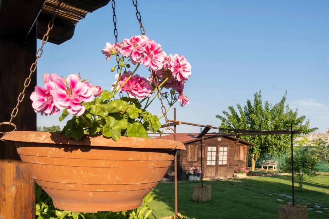 A Lu Fanizza Bed & Breakfast Кутрофиано Екстериор снимка